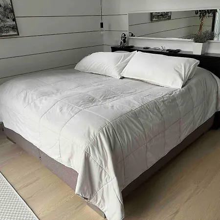 Hirvinen 15min Tampereen Keskustasta * Korospohja