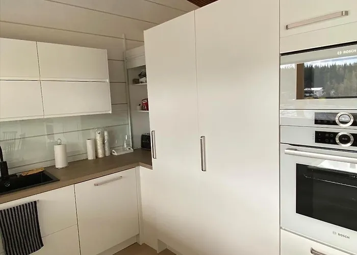 Hirvinen 15min Tampereen Keskustasta Korospohja